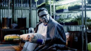 Quarantine